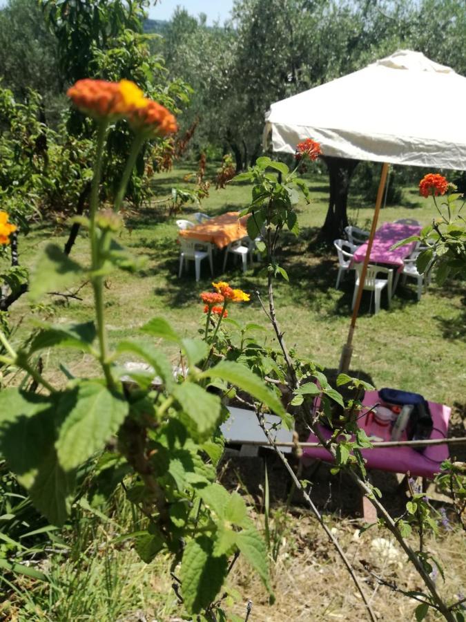 Vacanze In Collina, Tra Mare E Monti Bucchianico Buitenkant foto