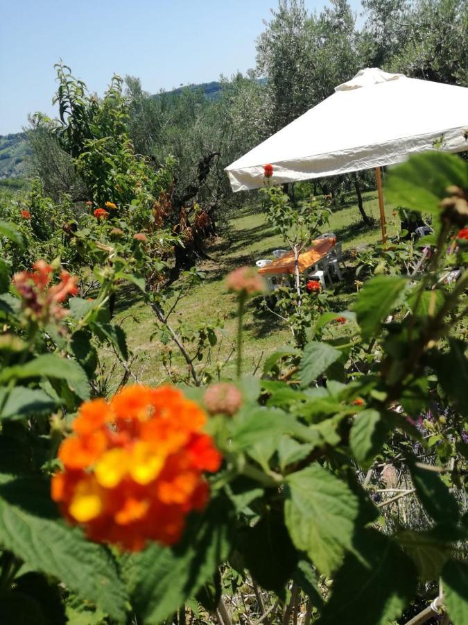 Vacanze In Collina, Tra Mare E Monti Bucchianico Buitenkant foto